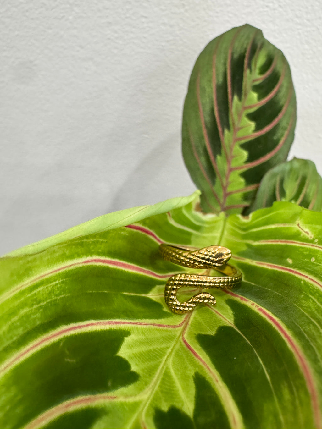 Slytherin Ring