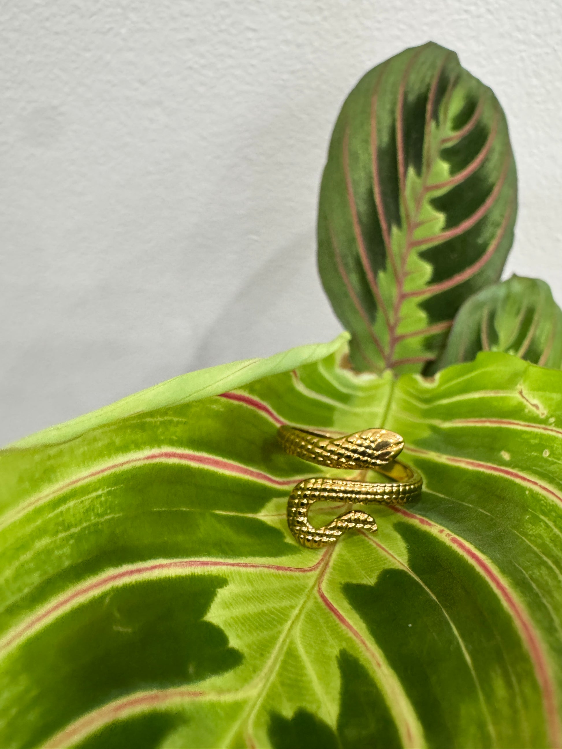 Slytherin Ring